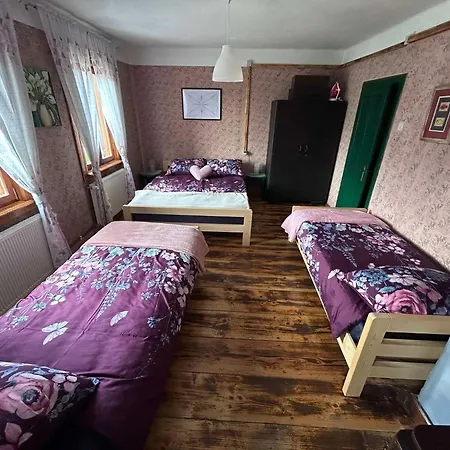 House With A Parking Space Kamenski Hrib, Gorski Kotar - 24427 Holiday home Plesce