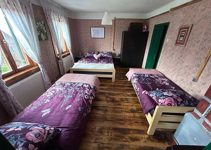 House With A Parking Space Kamenski Hrib, Gorski Kotar - 24427 Holiday home Plesce