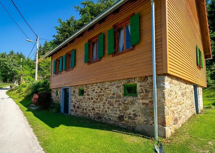 Holiday home House With A Parking Space Kamenski Hrib, Gorski Kotar - 24427